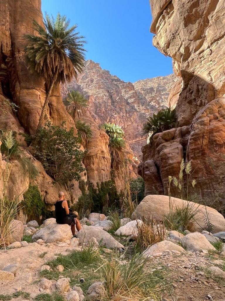 Al-Nawatef Eco Camp- Dana Nature Reserve Exteriör bild