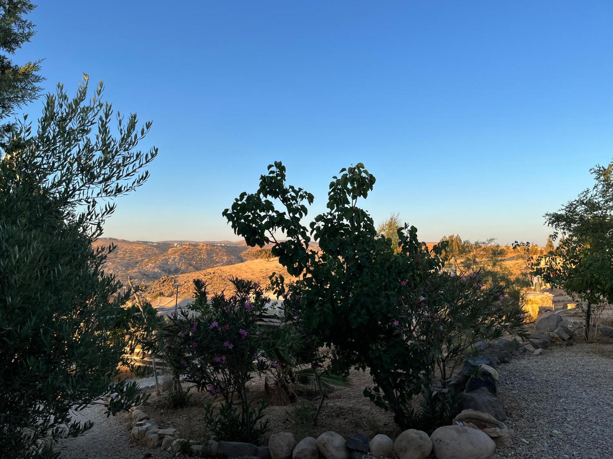 Al-Nawatef Eco Camp- Dana Nature Reserve Exteriör bild